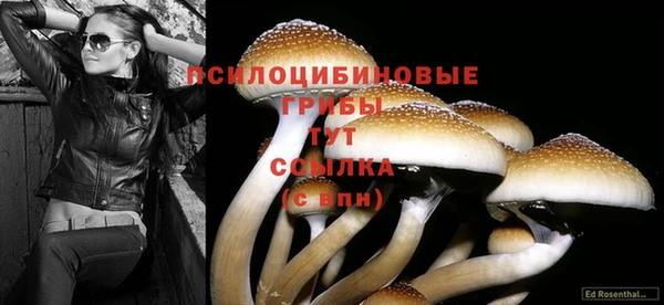 гашиш Алексеевка