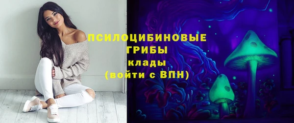 прущий лед Алексин