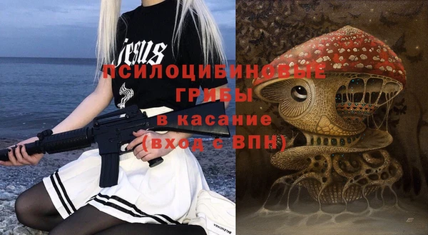 хмурый Алзамай
