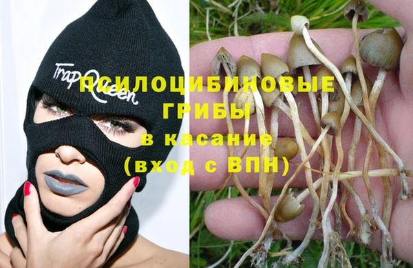 прущий лед Алексин